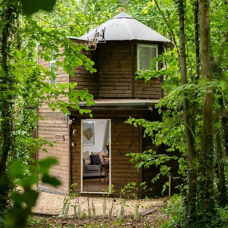 ブランドフォード・フォーラム Honeycombe - Treehouse In The Heart Of Dorsetヴィラ エクステリア 写真
