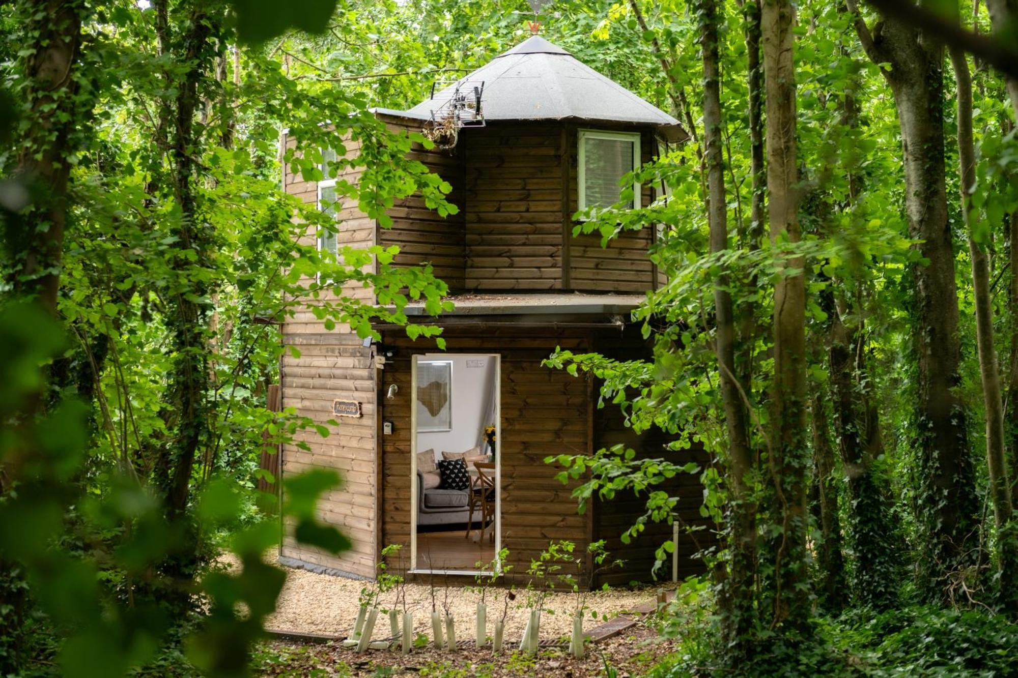 ブランドフォード・フォーラム Honeycombe - Treehouse In The Heart Of Dorsetヴィラ エクステリア 写真