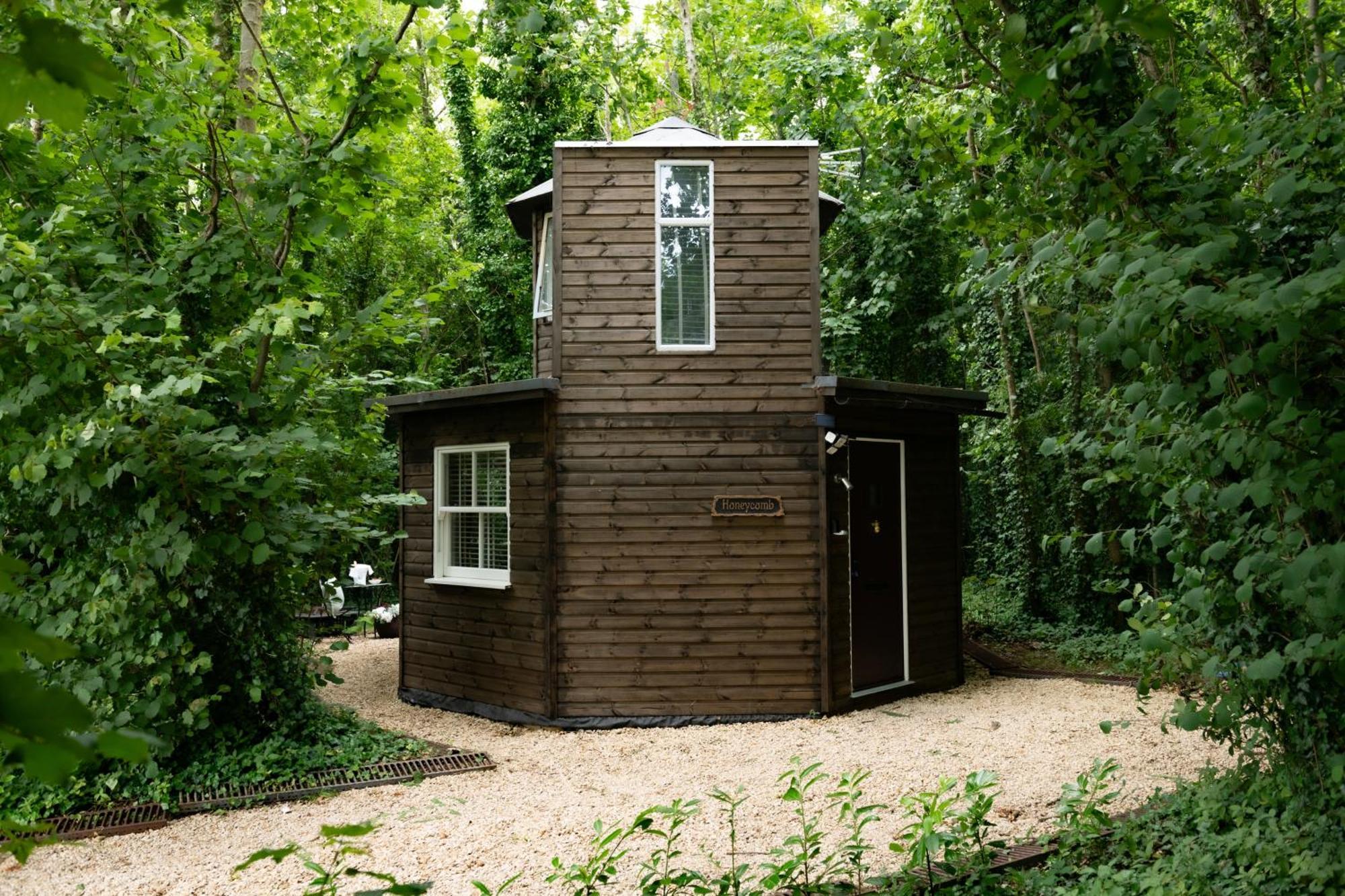 ブランドフォード・フォーラム Honeycombe - Treehouse In The Heart Of Dorsetヴィラ エクステリア 写真